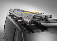 Rhino LadderStow – Farizon SV 2025>